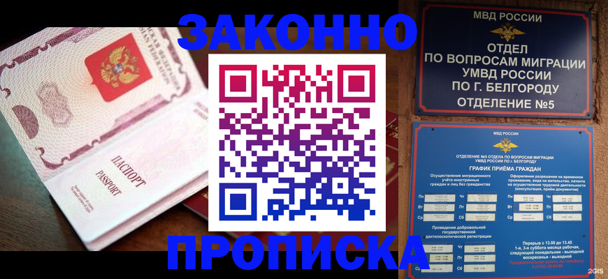 временная регистрация для школы в Порхове